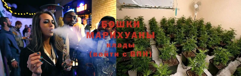 Шишки марихуана SATIVA & INDICA  Белокуриха 